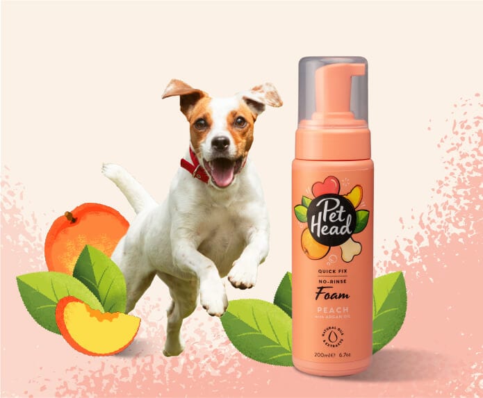 Pet Head Quick Fix No Rinse Foam 200ml