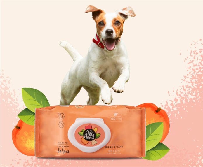 Pet Head Quick Fix Paw & Body Wipes - 80 Pack