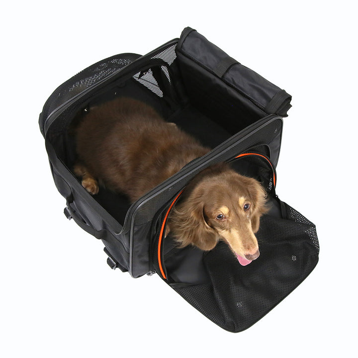 Ibiyaya JetPaw 3-in-One Pet Stroller with Removable Airline-Approved Carrier Up to 7kg-Dog Strollers-Ibiyaya-