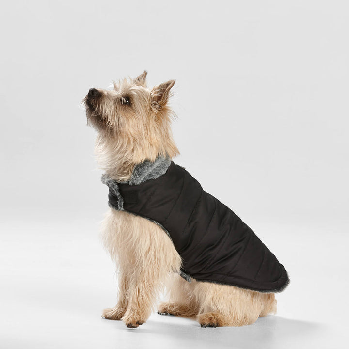 Snooza Wear Puffer Dog Coat with Fur Collar in Black-Dog Clothing-Snooza-