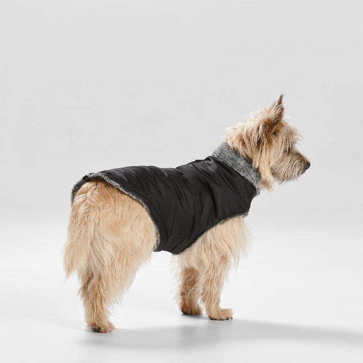 Snooza Wear Puffer Dog Coat with Fur Collar in Black-Dog Clothing-Snooza-