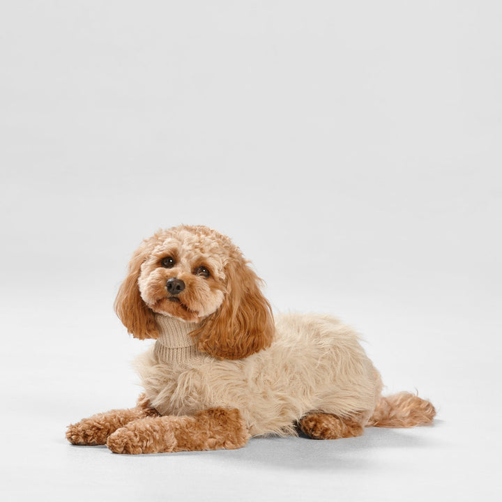 Snooza Wear Soft Fur Knit Dog Jumper-Dog Clothing-Snooza-