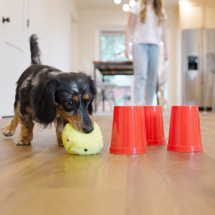 West Paw The Dog's Best Friend Interactive Board Game-Treat Dispensing-West Paw-