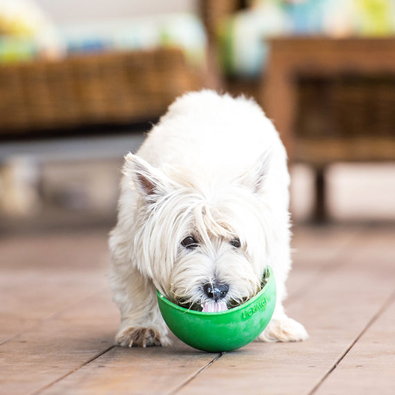 LickiMat Wobble Slow Feeder For Dog-Pet Slow Feeder-LickiMat-
