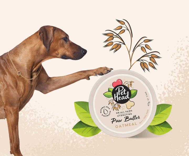 Pet Head On All Paws Oatmeal Paw Butter 40g