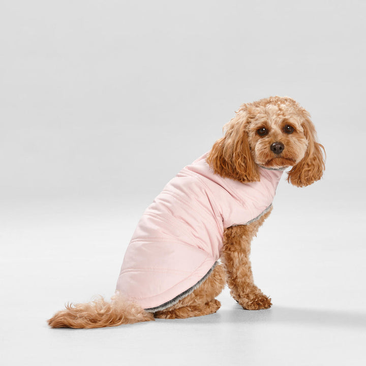 Snooza Wear Puffer Dog Coat in Pink-Dog Clothing-Snooza-