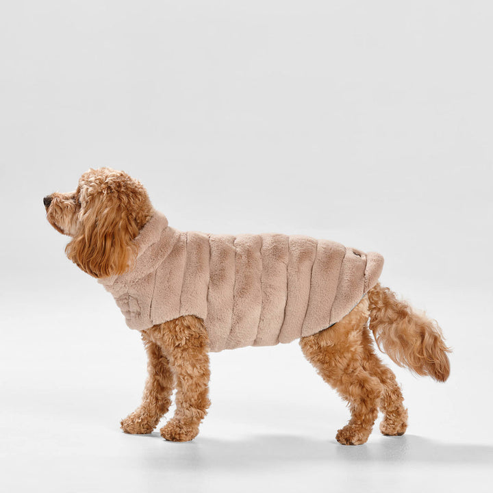 Snooza Wear Cut Faux Fur Dog Coat in Almond-Dog Clothing-Snooza-