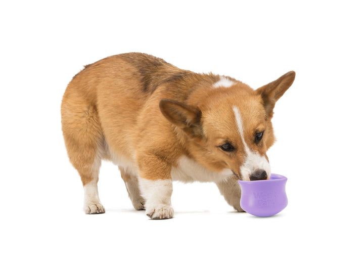West Paw Toppl Treat Dispensing Dog Toy - Lavender-Dog Toys-West Paw-