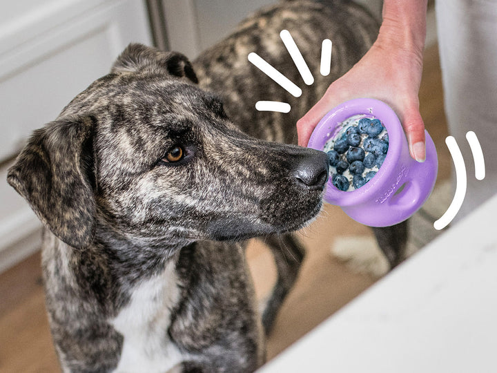 West Paw Toppl Treat Dispensing Dog Toy - Lavender-Dog Toys-West Paw-