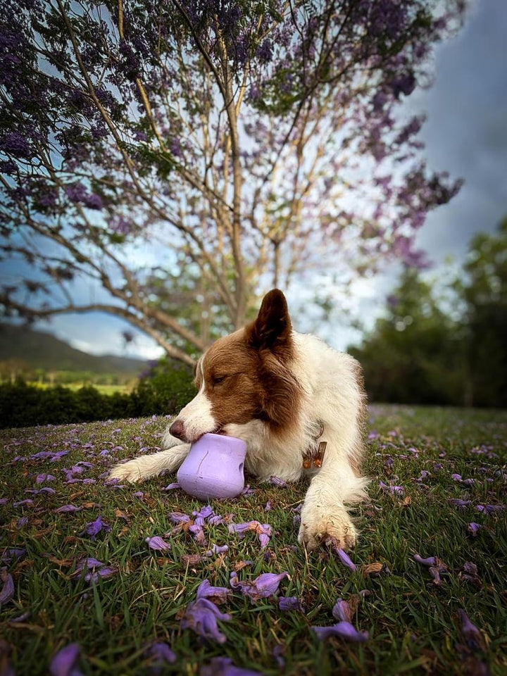 West Paw Toppl Treat Dispensing Dog Toy - Lavender-Dog Toys-West Paw-