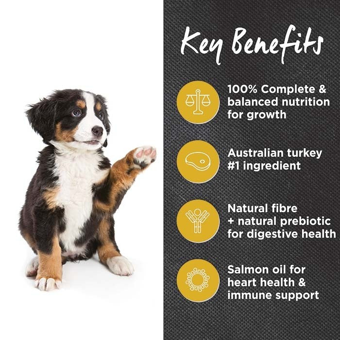 Ivory Coat Healthy Gut Large Breed Pupppy Turkey & Brown Rice Dog Food-Dog Food-Ivory Coat-