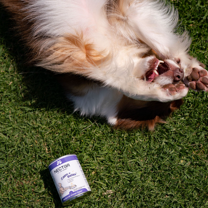 Nectar of the Dogs Calm + Relax Powder for Dogs 150g