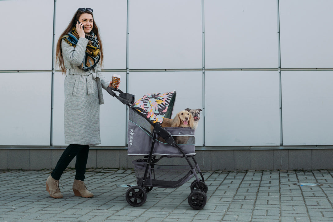 Ibiyaya Cloud 9 Pet Stroller for Cats & Dogs up to 20kg- Mint Green-Dog Strollers-Ibiyaya-