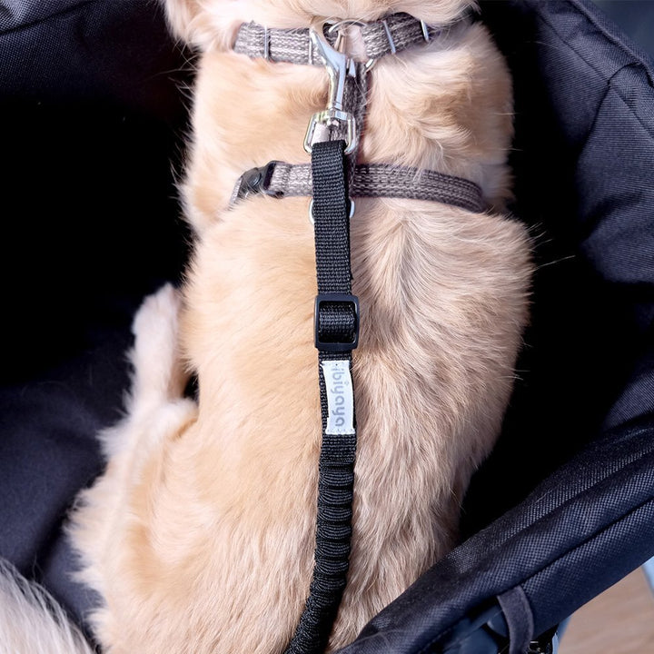 Ibiyaya No Shock Bungee Leash Extension/ Stroller Tether-Dog Strollers-Ibiyaya-Black-