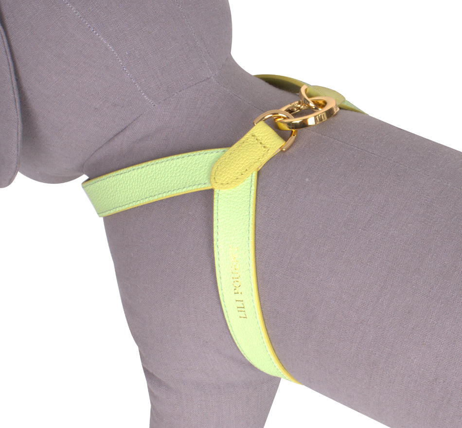Lili Pouent Korea Lemon/Melon Reversible Leather VV Harenss For Pets-Pet Collars & Harnesses-Lili Pouent-