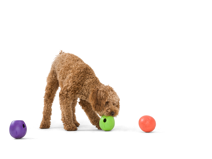 West Paw Rumbl Dog Toy - Eggplant-Treat Dispensing-West Paw-