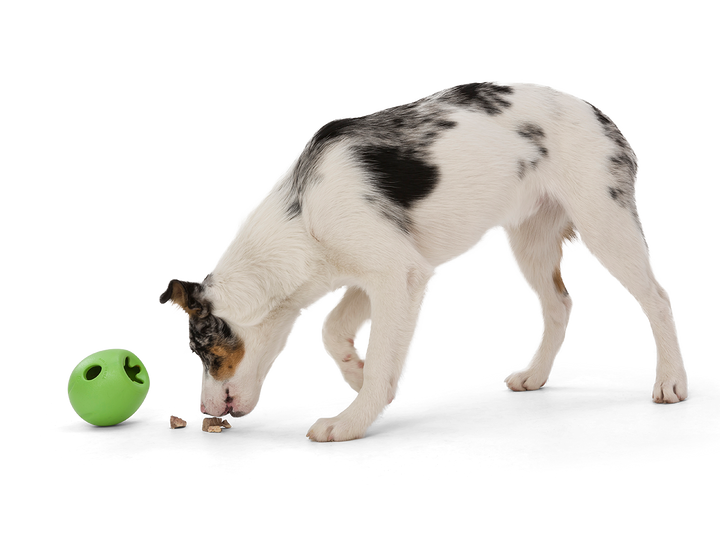 West Paw Rumbl Small Dog Toy - Jungle Green-Treat Dispensing-West Paw-