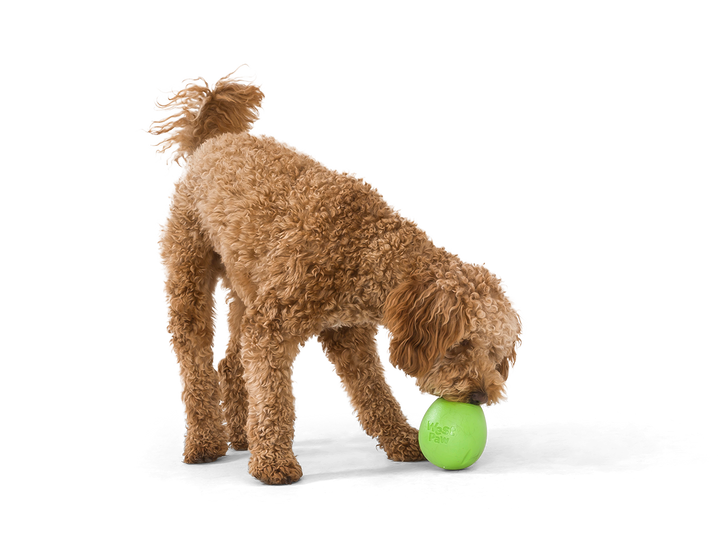 West Paw Rumbl Small Dog Toy - Jungle Green-Treat Dispensing-West Paw-