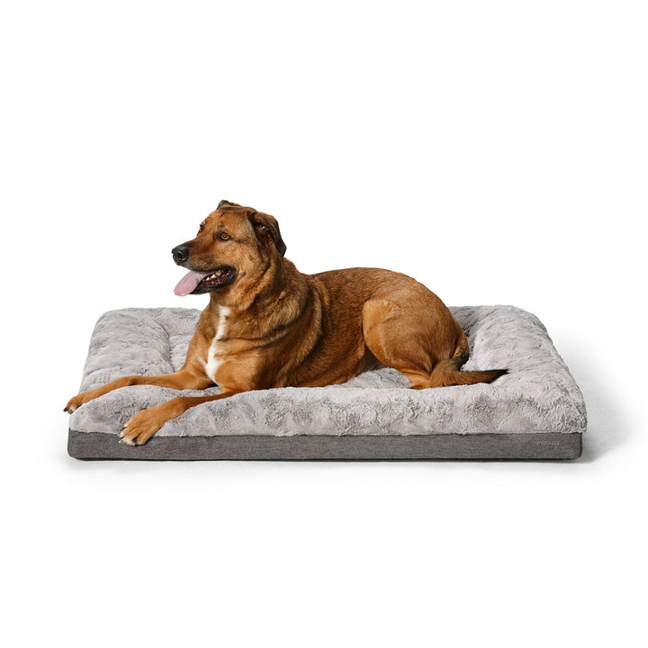 Snooza Ultra Comfort Lounge-Dog Bed-Snooza-