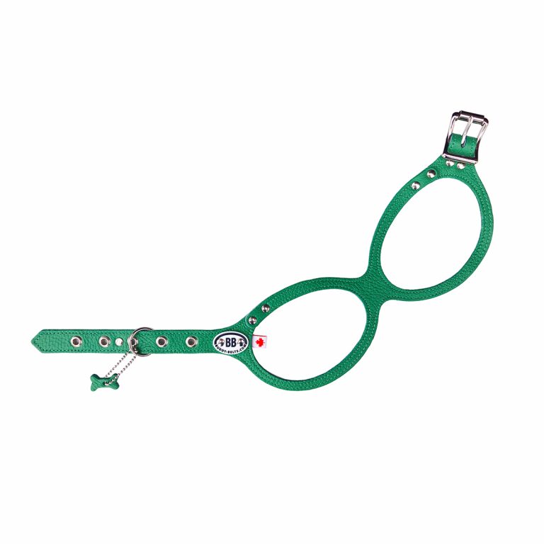 Buddy Belts (BB) Leather Harness – Luxury – Emerald-Pet Collars & Harnesses-Buddy Belts-