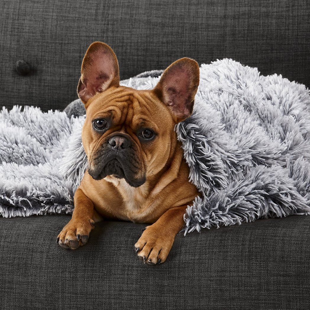 Snooza Calming Cuddler Blanket Sliver Fox-Dog Bed-Snooza-