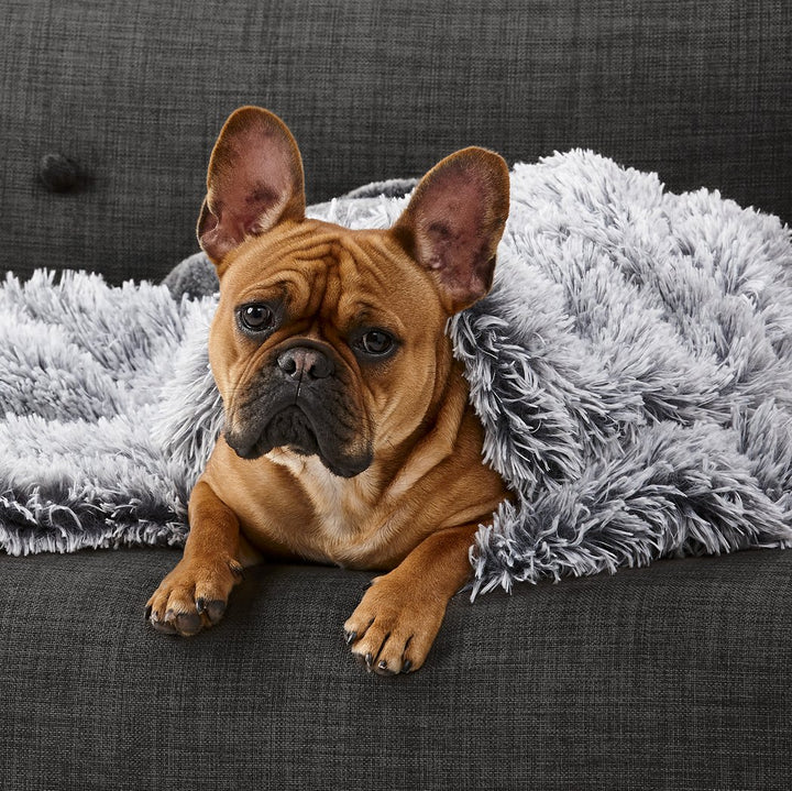 Snooza Calming Cuddler Blanket Sliver Fox-Dog Bed-Snooza-