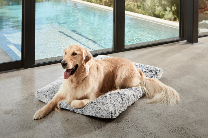 Snooza Calming Multimat Silver Fox-Dog Bed-Snooza-