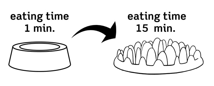 Northmate Green Mini Interactive Slow Food Dog Bowl-Pet Slow Feeder-Northmate-
