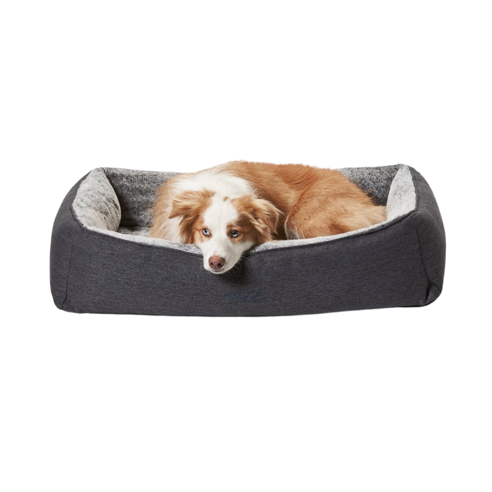 Snooza big hot sale dog bed