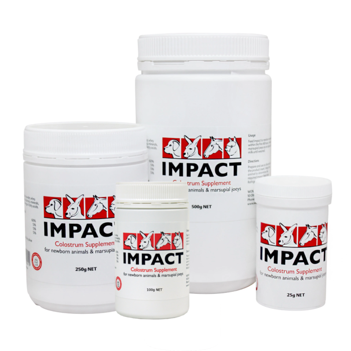 Wombaroo Impact Colostrum Supplement for Kittens, Puppies and small animals