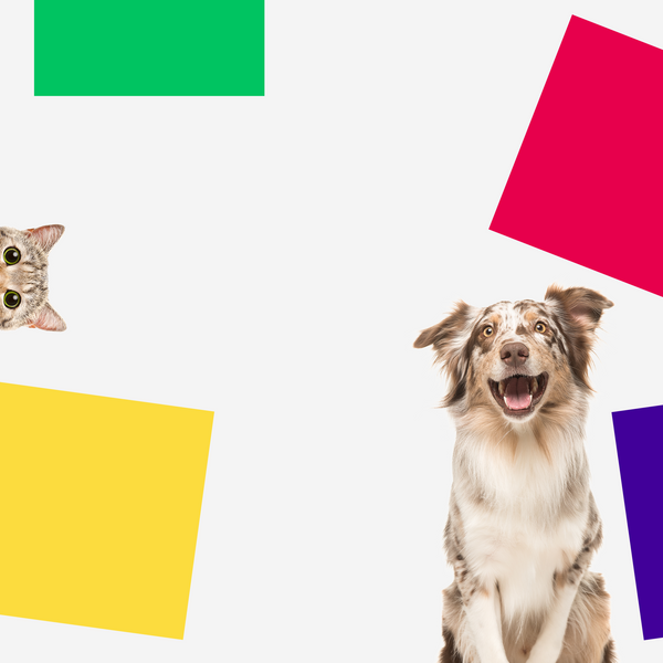 Petsmile