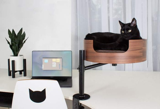 Desk Nest Cat Bed The Purrfect Cat Bed for Your Desk Up to 11.3kg