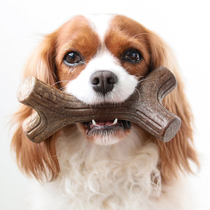 Benebone Bacon Stick Dental Chew Dog Toy