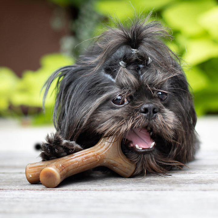 Benebone Bacon Stick Dental Chew Dog Toy