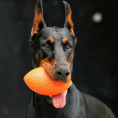 PitchDog Sportball - Durable Dog Toy