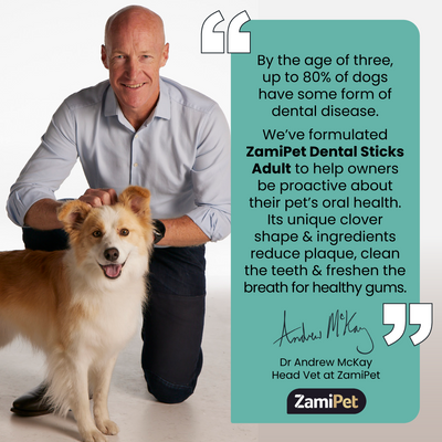 ZamiPet Dental Sticks Adult Med/Large Dogs 6 Sticks