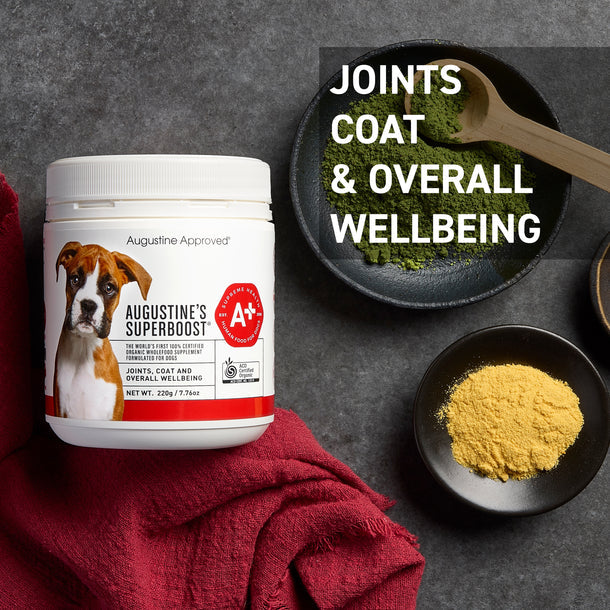 Augustine Approved Augustine’s Organic SuperBoost For Dog, Cat and Horse