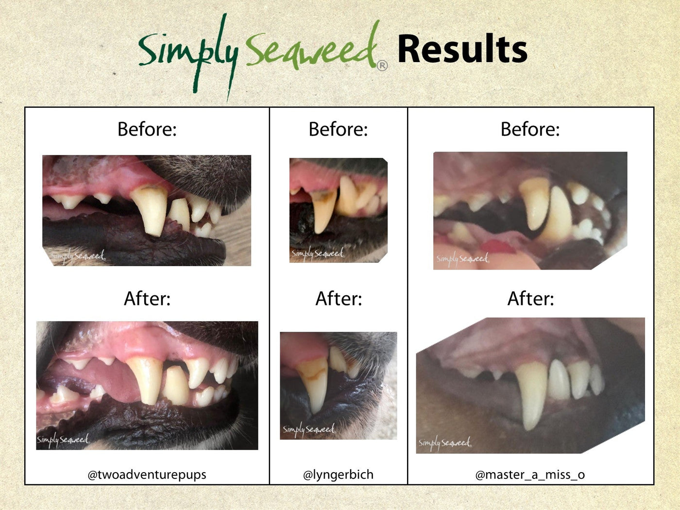 Simply Seaweed Organic Dental Health Care for Cats & Dogs