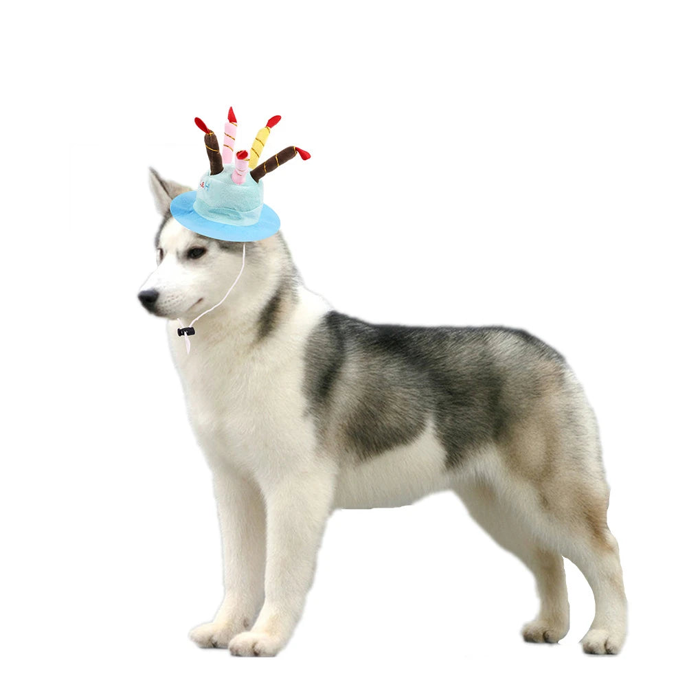 Muddy Paw Friends Pet Happy Birthday Cake Plush Party Hat