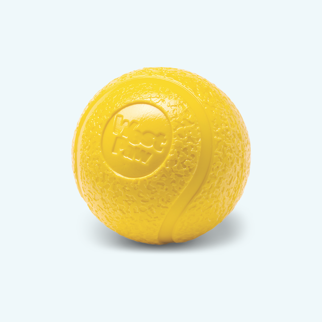 West Paw Boundr Fetch Dog Toys - Pack of 2 Balls