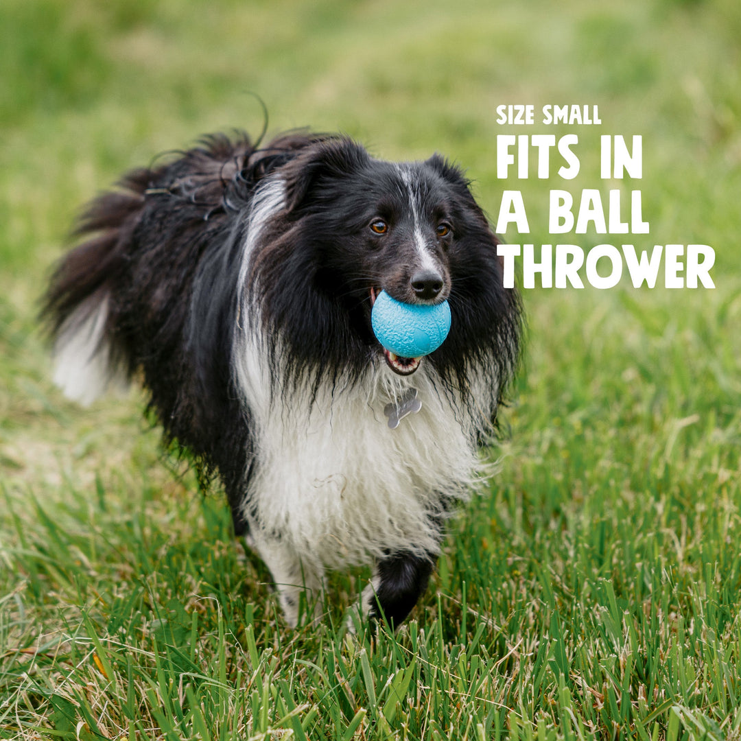 West Paw Boundr Fetch Dog Toys Pack of 2 Balls -- Glow in the dark