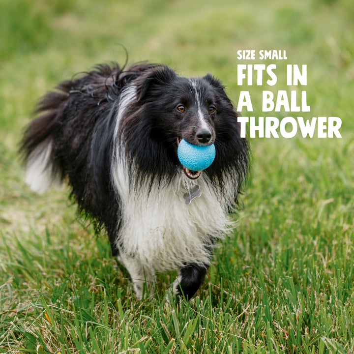 West Paw Boundr Fetch Dog Toys Pack of 2 Balls -- Glow in the dark