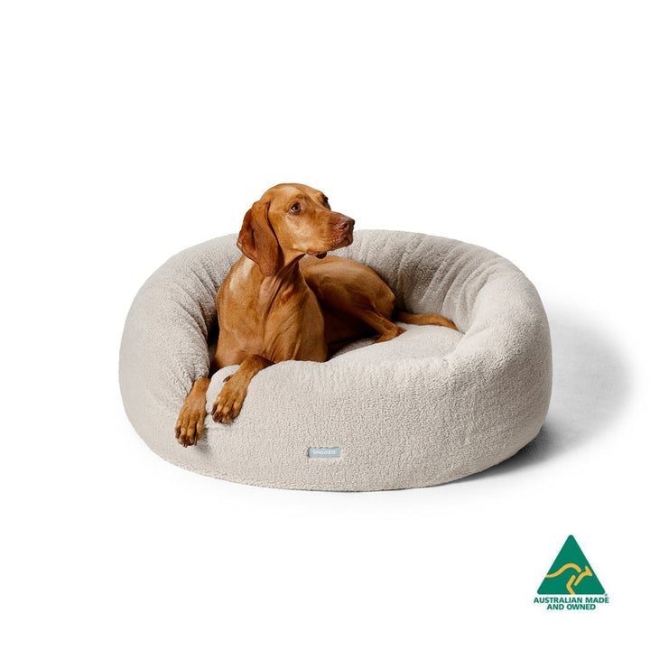 Snooza soothing & calming cuddler-- Teddy Oat