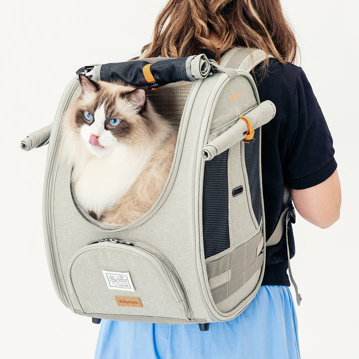 Ibiyaya Adventure Cat & Small Dog Carrier Backpack with Window Up to 9kg