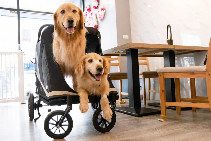 Ibiyaya Grand Cruiser 4-Wheel Large Dog Stroller up to 50kg