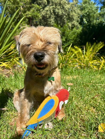 Georgie Paws Rick the Rosella Pet Toys