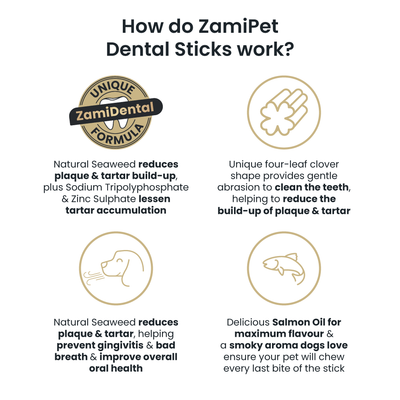 ZamiPet Dental Sticks Adult Med/Large Dogs 6 Sticks