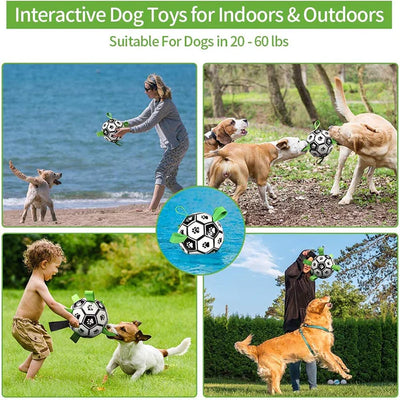 Muddy Paw Friends Interactive Soccer Toy for Dog