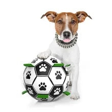 Muddy Paw Friends Interactive Soccer Toy for Dog