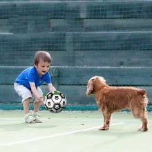 Muddy Paw Friends Interactive Soccer Toy for Dog